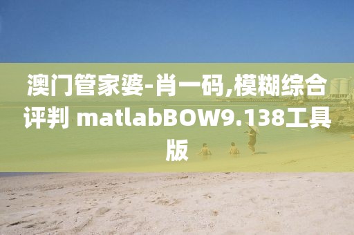 澳门管家婆-肖一码,模糊综合评判 matlabBOW9.138工具版