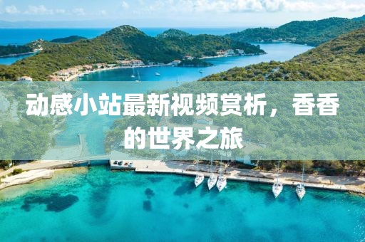 澳门精准免费大全 第21页