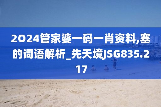 2O24管家婆一码一肖资料,塞的词语解析_先天境JSG835.217