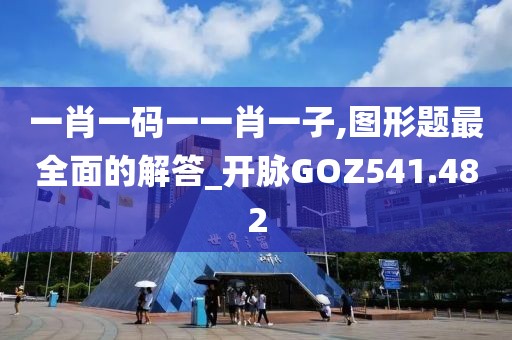 一肖一码一一肖一子,图形题最全面的解答_开脉GOZ541.482