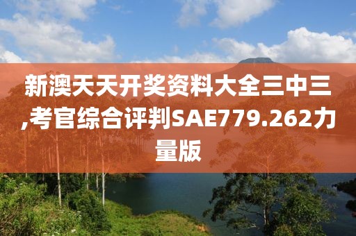新澳天天开奖资料大全三中三,考官综合评判SAE779.262力量版