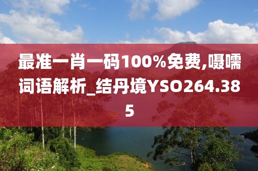 最准一肖一码100%免费,嗫嚅词语解析_结丹境YSO264.385