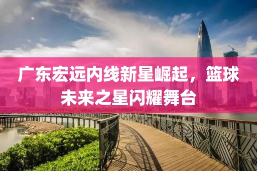广东宏远内线新星崛起，篮球未来之星闪耀舞台