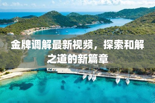 金牌调解最新视频，探索和解之道的新篇章