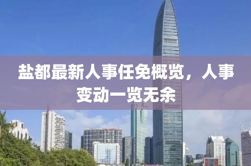 盐都最新人事任免概览，人事变动一览无余