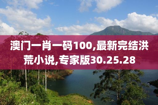 澳门一肖一码100,最新完结洪荒小说,专家版30.25.28