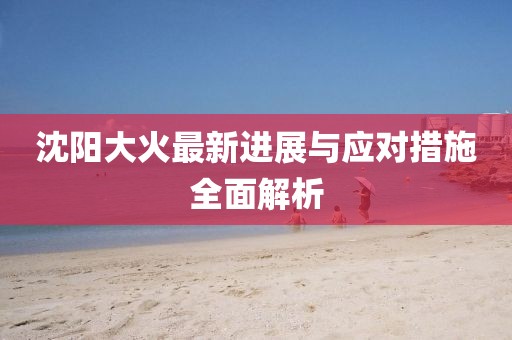 沈阳大火最新进展与应对措施全面解析