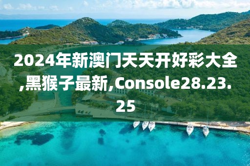 2024年新澳门天天开好彩大全,黑猴子最新,Console28.23.25