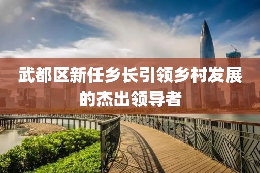 武都区新任乡长引领乡村发展的杰出领导者