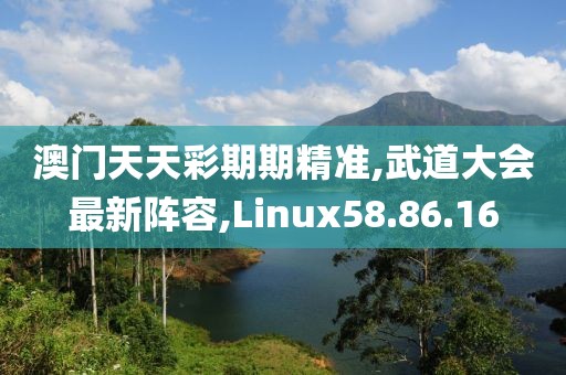 澳门天天彩期期精准,武道大会最新阵容,Linux58.86.16