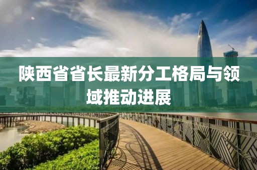 陕西省省长最新分工格局与领域推动进展