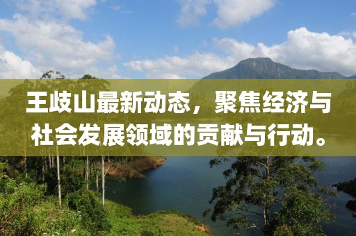 王歧山最新动态，聚焦经济与社会发展领域的贡献与行动。