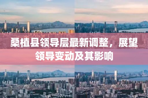 桑植县领导层最新调整，展望领导变动及其影响