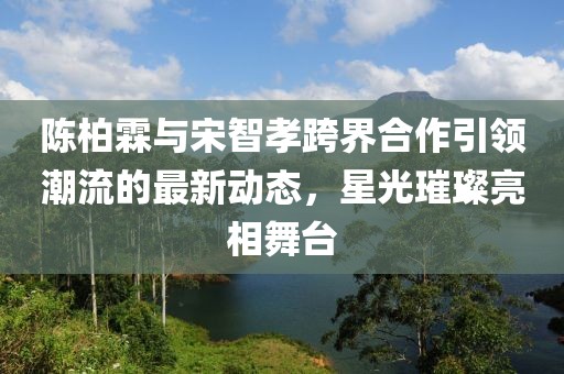 陈柏霖与宋智孝跨界合作引领潮流的最新动态，星光璀璨亮相舞台