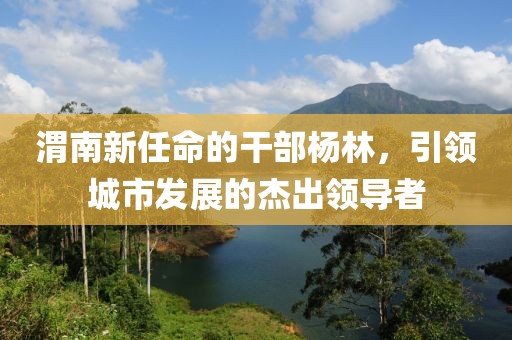 渭南新任命的干部杨林，引领城市发展的杰出领导者