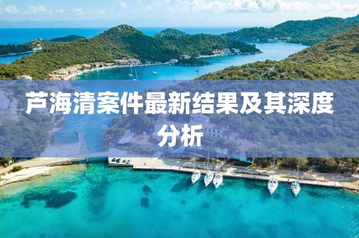 芦海清案件最新结果及其深度分析