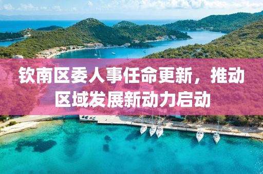 钦南区委人事任命更新，推动区域发展新动力启动