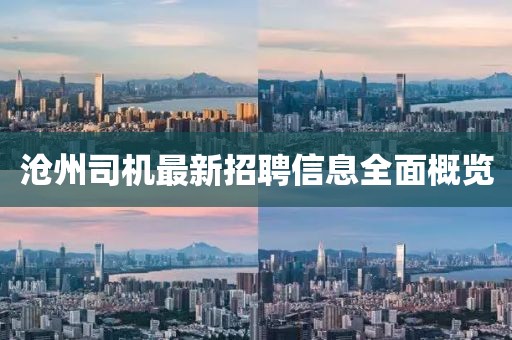 沧州司机最新招聘信息全面概览