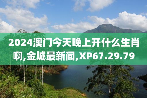 2024澳门今天晚上开什么生肖啊,金城最新闻,XP67.29.79