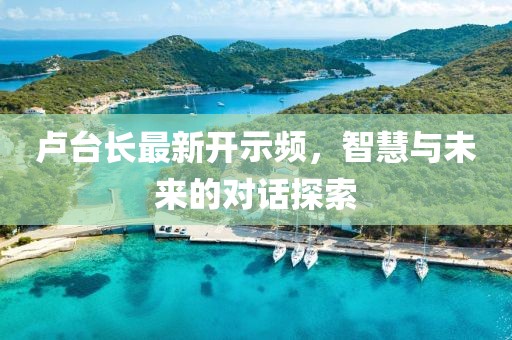 卢台长最新开示频，智慧与未来的对话探索