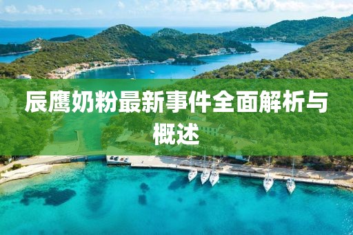 辰鹰奶粉最新事件全面解析与概述