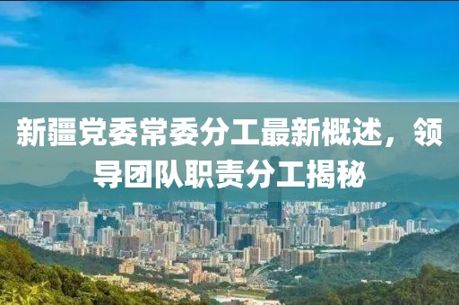 新疆党委常委分工最新概述，领导团队职责分工揭秘
