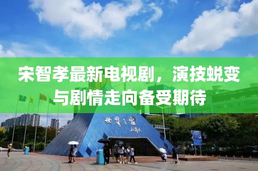 宋智孝最新电视剧，演技蜕变与剧情走向备受期待