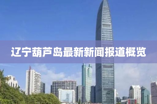 辽宁葫芦岛最新新闻报道概览