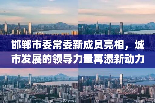 邯郸市委常委新成员亮相，城市发展的领导力量再添新动力