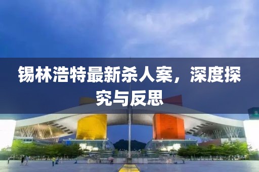 锡林浩特最新杀人案，深度探究与反思