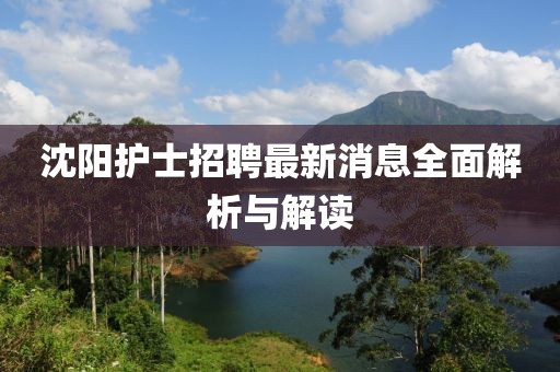 沈阳护士招聘最新消息全面解析与解读