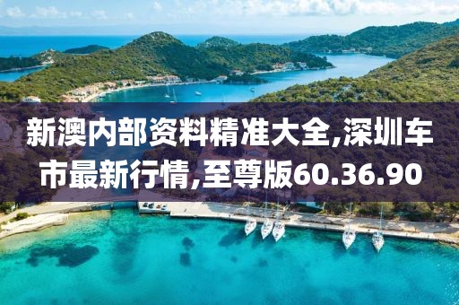 新澳内部资料精准大全,深圳车市最新行情,至尊版60.36.90