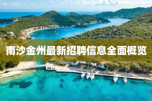 南沙金州最新招聘信息全面概览