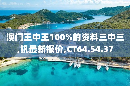 澳门王中王100%的资料三中三,钒最新报价,CT64.54.37