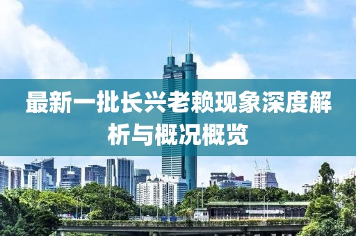 最新一批长兴老赖现象深度解析与概况概览