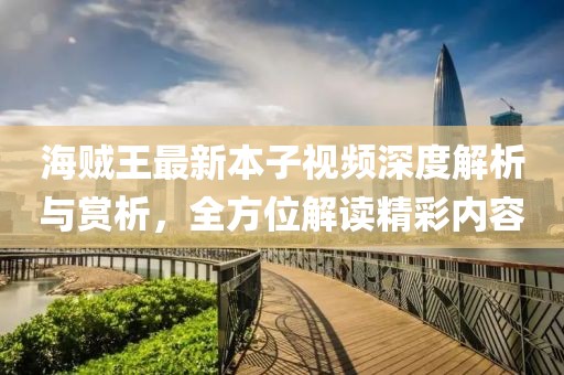 海贼王最新本子视频深度解析与赏析，全方位解读精彩内容