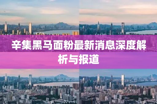 辛集黑马面粉最新消息深度解析与报道