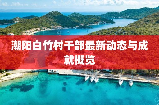 潮阳白竹村干部最新动态与成就概览