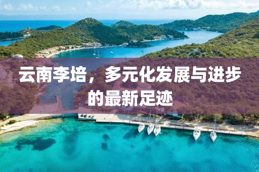 云南李培，多元化发展与进步的最新足迹