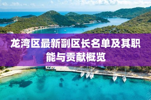 龙湾区最新副区长名单及其职能与贡献概览