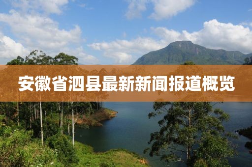 安徽省泗县最新新闻报道概览