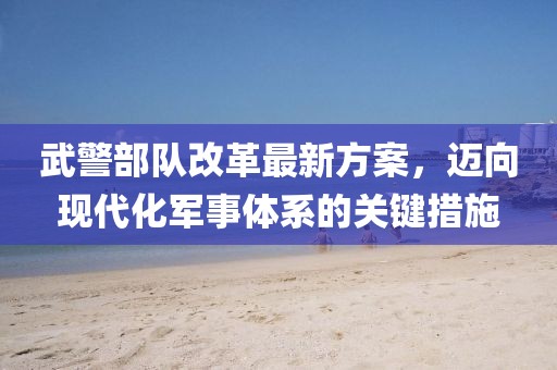 武警部队改革最新方案，迈向现代化军事体系的关键措施