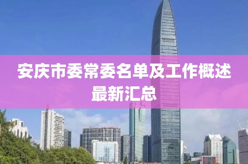 安庆市委常委名单及工作概述最新汇总