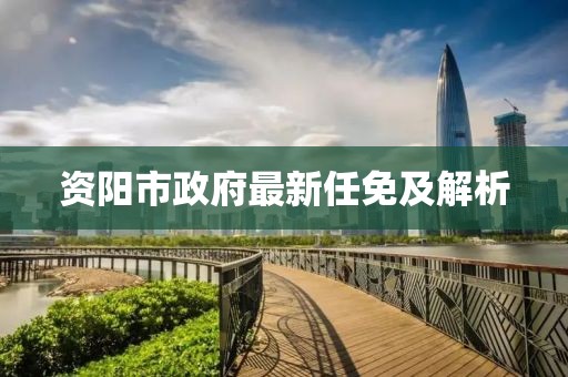 资阳市政府最新任免及解析