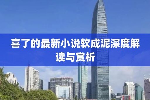 喜了的最新小说软成泥深度解读与赏析