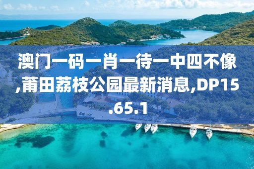 澳门一码一肖一待一中四不像,莆田荔枝公园最新消息,DP15.65.1