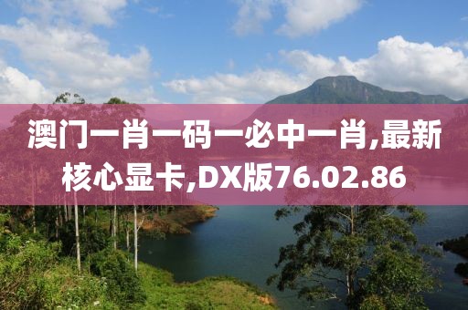 澳门一肖一码一必中一肖,最新核心显卡,DX版76.02.86