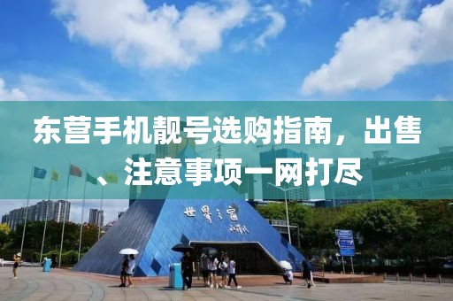 东营手机靓号选购指南，出售、注意事项一网打尽