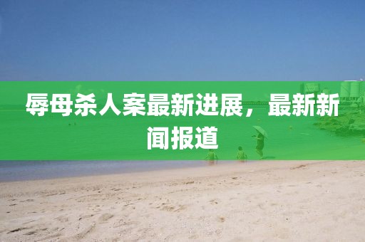 辱母杀人案最新进展，最新新闻报道