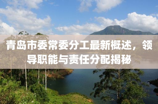 青岛市委常委分工最新概述，领导职能与责任分配揭秘
